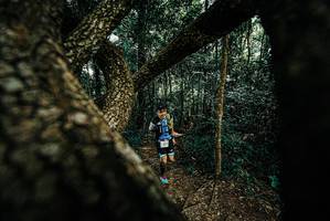 BIB: 
                            <button type="button" onclick="openModal(25666743)" class="btn btn-primary btn-sm float-right btn-popup" data-toggle="modal" data-target=".modal-high-quality">
                        <i class="fas fa-shopping-cart"></i> Add to Cart
                    </button>
                                            <button type="button" onclick="isThisMe(25666743, true)" class="btn btn-success btn-sm float-right btn-popup btn-isme hidden" data-toggle="tooltip" data-placement="bottom" title="นี่คือรูปของคุณใช่ไหม คลิกที่นี่เพื่อเอาเข้าอัลบั้ม">
                        <i class="fas fa-plus"></i> Add to album
                    </button>
                    <button type="button" onclick="isThisMe(25666743, false)" class="btn btn-warning btn-sm float-right btn-popup btn-isnotme hidden">
                        <i class="fas fa-ban"></i> Remove from album
                    </button>